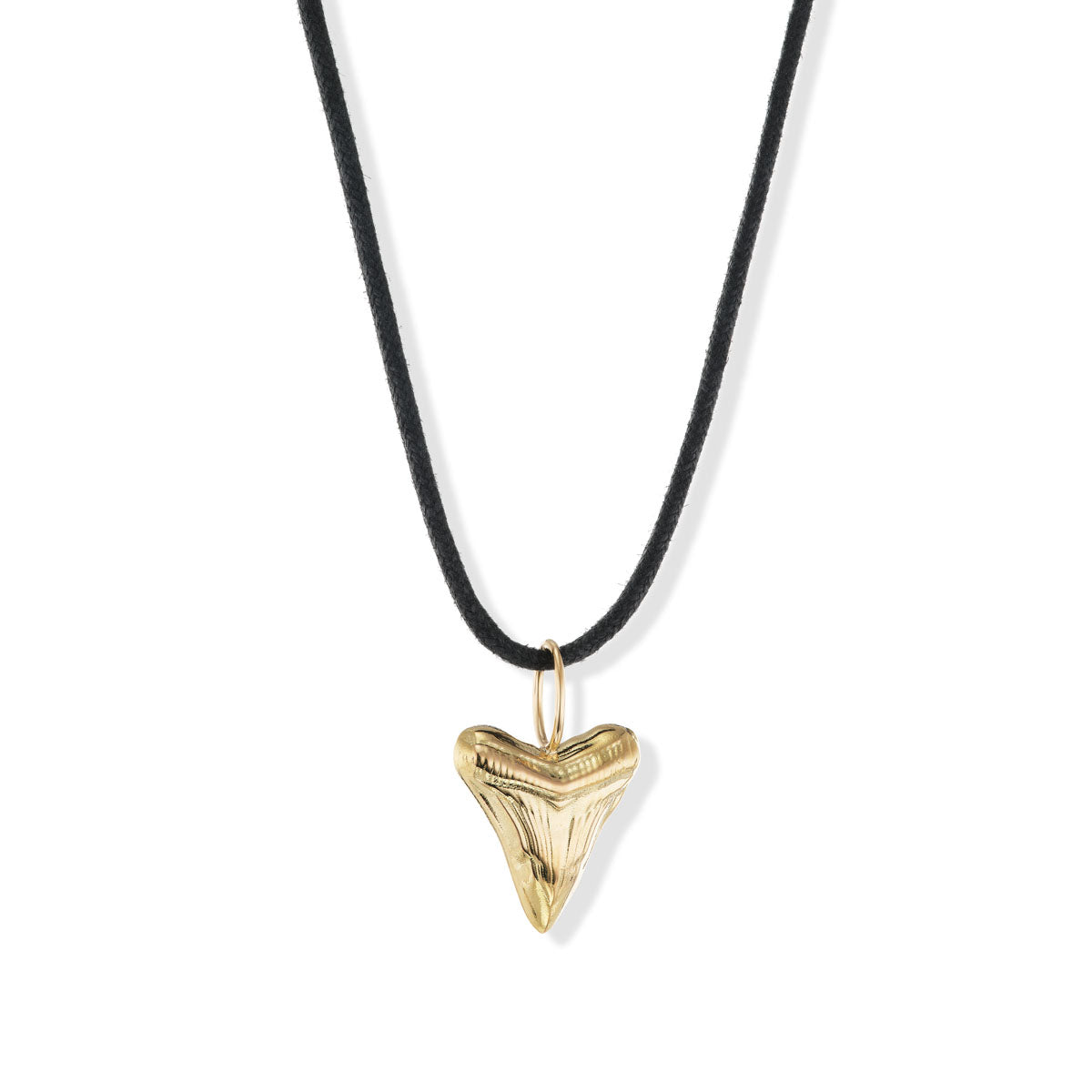 Megalodon Shark Tooth Pendant – Brent Neale