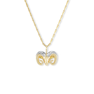 IN STOCK : Small Zodiac Pendants