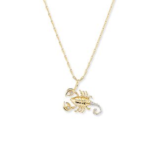 IN STOCK : Medium Zodiac Pendants