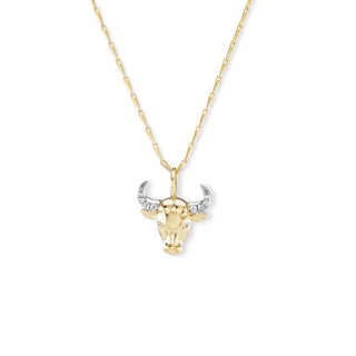 IN STOCK : Small Zodiac Pendants