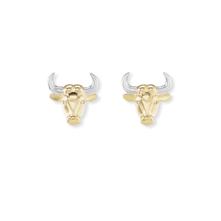 IN STOCK : Zodiac Studs