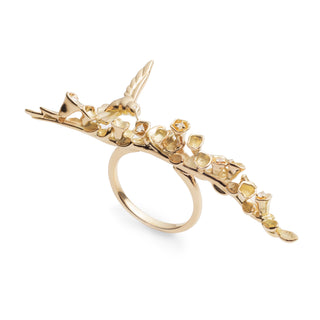 Floral Archway & Hummingbird Ring